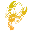 cancer
